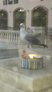 20140517 201134